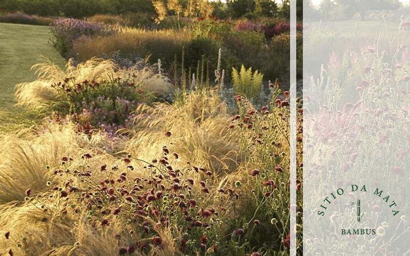 Como Tratar Erosão do Solo com o Paisagismo Sustentável