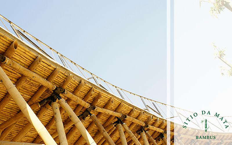 Cuidados-e-Durabilidade-do-Bambu-na-Construcao-Civil-4