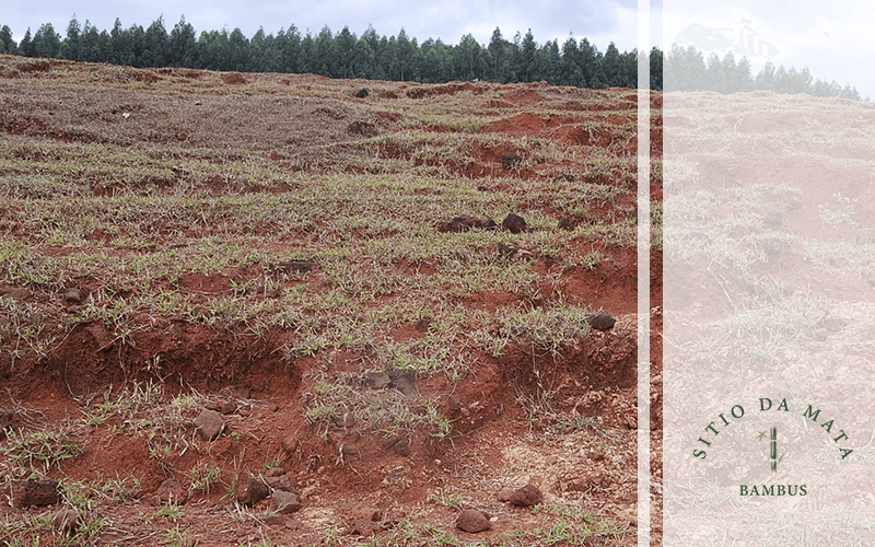 Erosão e Degradação do Solo