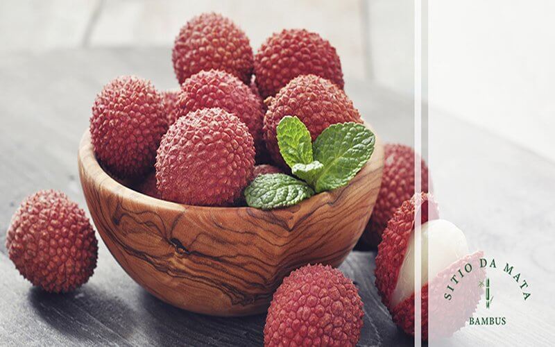 Lichia Plantio e os Beneficios a Saude