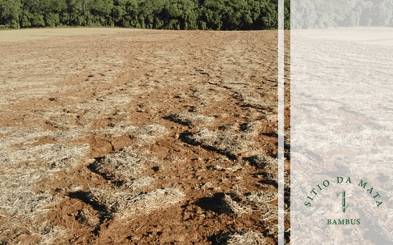 Quais as Consequências da Erosão Para o Solo?