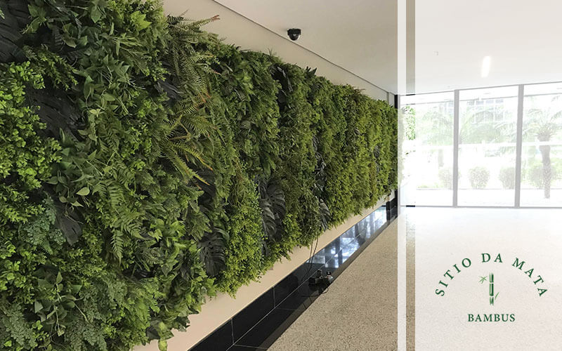 Plantas Para Jardim De Inverno Vertical