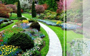 Paisagismo Funcional