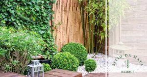 Ideias para Jardins Pequenos