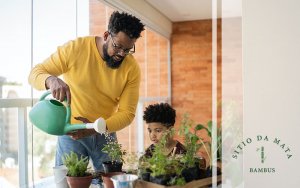 horta em apartamento