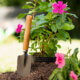como proteger suas plantas no frio