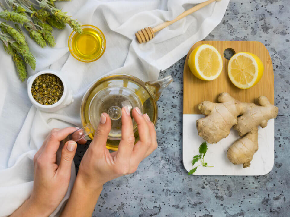 Remédio natural para imunidade: 6 plantas medicinais para fortalecer as defesas do organismo