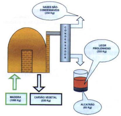 Produção de Carvão Produção de Carvão