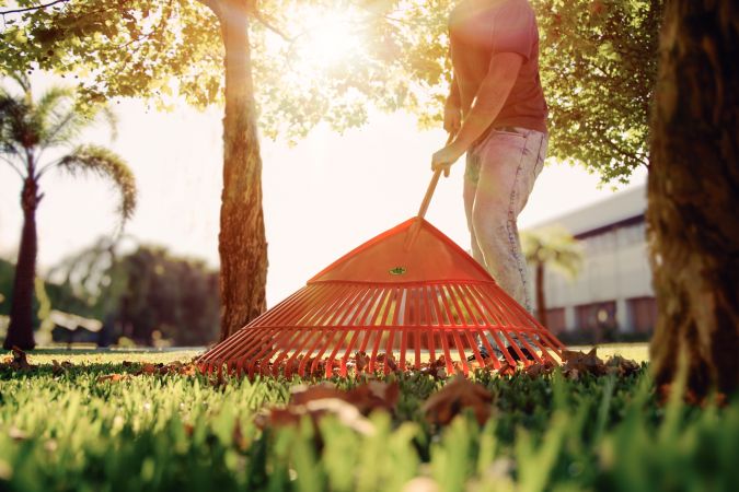 Sítio da Mata - VASSOURA JARDIM PLAST 30D COM CABO