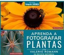 Aprenda a Fotografar Plantas