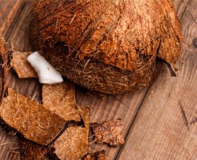 Sítio da Mata - CASCA DE COCO EM PO 300 G UNICA