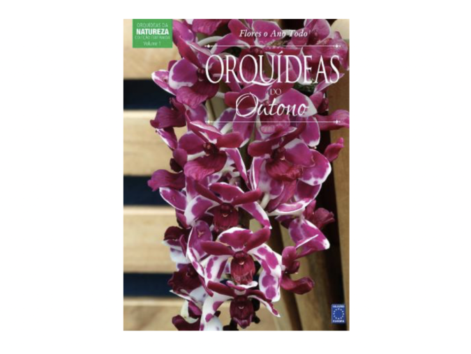 Colecao Orquideas Estacoes - Orquideas de Outono