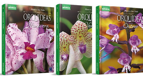 Coleção Esmeralda Orquídeas Estações - 3 Volumes