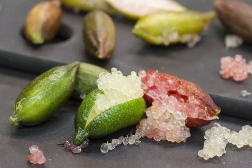 Sítio da Mata - LIMÃO CAVIAR