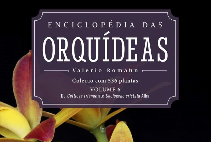 Enciclopedia das Orquideas - Volume 6