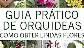 Guia Pratico de Orquideas: 2 - Como Obter Lindas Flores
