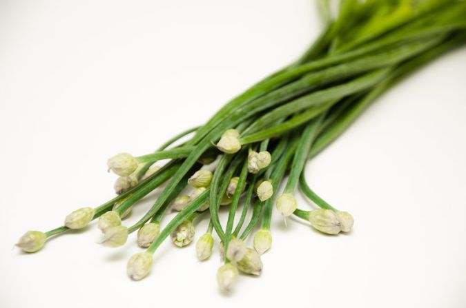 Sítio da Mata - CEBOLA NIRA (Allium tuberosum)