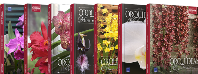Sítio da Mata - Coleção Rubi Orquídeas - 7 Volumes
