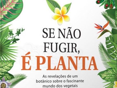 Se Nao Fugir e Planta