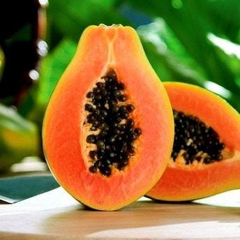 MAMAO PAPAIA HAWAI ( Carica papaya)