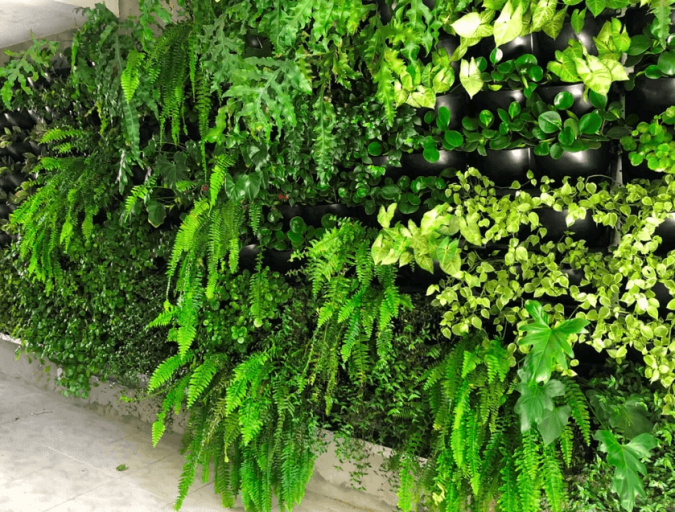 Sítio da Mata - Jardim Vertical