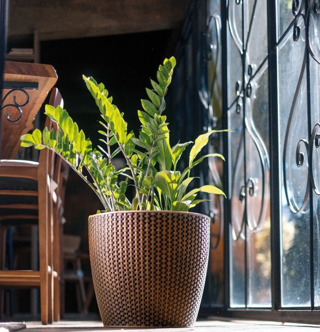 Sítio da Mata - VASO TRECCIA REDONDO 24 ENVELHECIDO