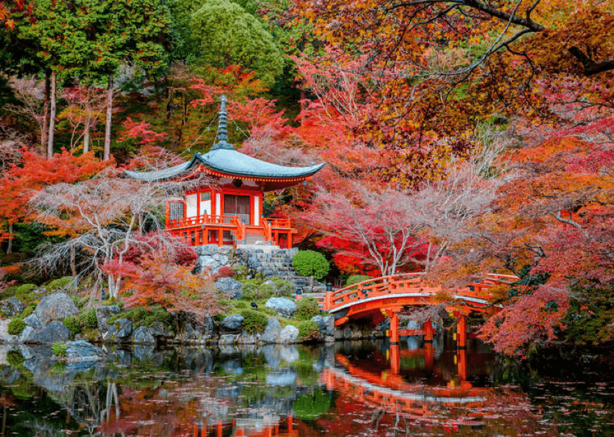 Ebook Jardim Japonês