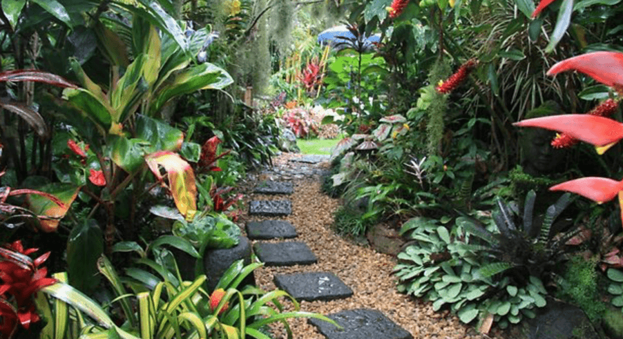 E-book de Como Fazer um Jardim Tropical. Aproveite!