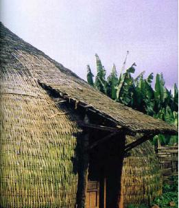 Tiras Tiras