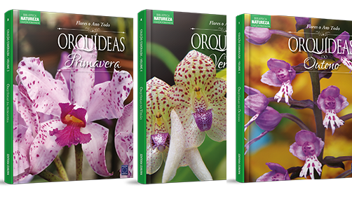 Coleção Esmeralda Orquídeas Estações - 3 Volumes