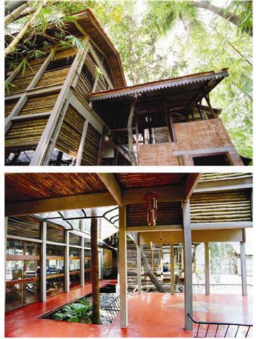 Bambu Para Construção Bambu Para Construção