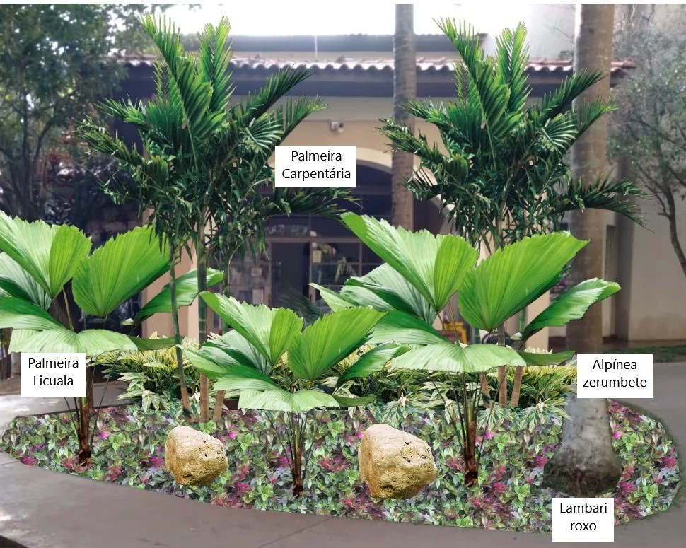Sítio da Mata - Projeto fotomontagem