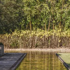 Sítio da Mata - Cerca Viva