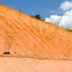 Sítio da Mata - Contenção de Erosão