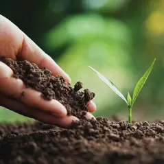 Sítio da Mata - Adubos