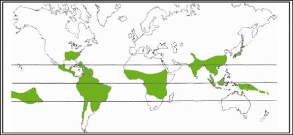 mapa territorial